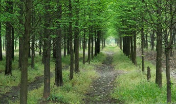DSC_3210.jpg