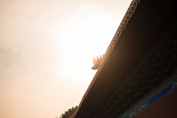 DSC_3773.jpg