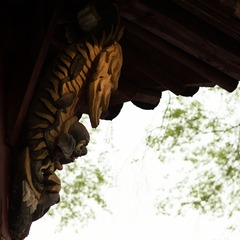 DSC_3821.jpg