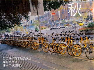 AF4C2502-68F0-4CA1-8FE4-651BDC201E46/L0/001