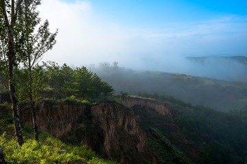 DSC_3857(1)