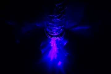 _DSC0417