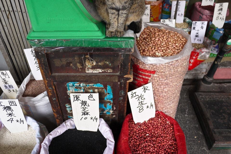GZ Cat<br />
广州，一德路食品批发街