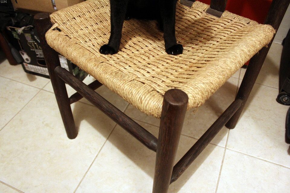 [Paw] Hedessise<a href="https://tuchong.com/239404/" target="_blank">@Chair</a>, Kasai House, Lola-2_1600<br />
