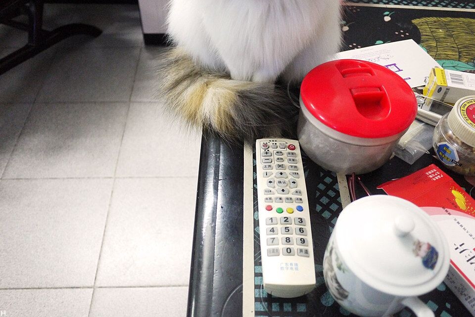 [Paw] Spring<a href="https://table.tuchong.com/" target="_blank">@Table</a> with snacks, Home_1600<br />
