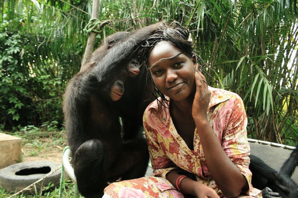 Les Mamas-32<br />
Sake, Katako &amp; Mama Esperence@Nursery, Lola, Kinshasa<br /><br />
孩子们早已把Mama当成是自己同类,所以他们向妈妈表达爱意的方式自然是──理毛。