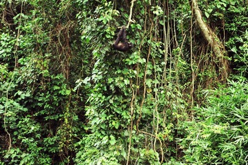 At Lola-3_1600.jpg