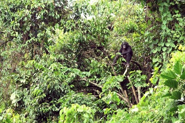 At Lola-6_1600.jpg