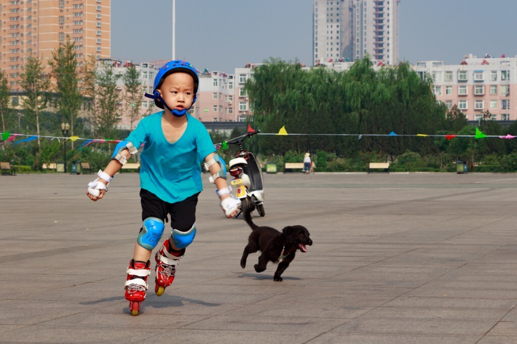 8月:与子同行<br />
在轮滑赛场上的一幕,最喜欢的体育片。陪谦谦去汾阳参加轮滑比赛,在他的小伙伴上场速滑过弯的时候,一只小黑狗冲了进来,一起绕着赛道跑了起来。小孩,小狗,可爱的事物就要定格在相机里。
