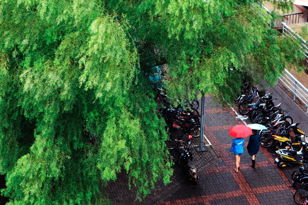 9月:雨季<br />
9月太低产,只有这一张通过了第一轮筛选,但是这一张的故事就已经足够我回忆很久。40首小情歌,每一首歌都有一张配图,这张是DAY 35《雨季》by吴陌川。
