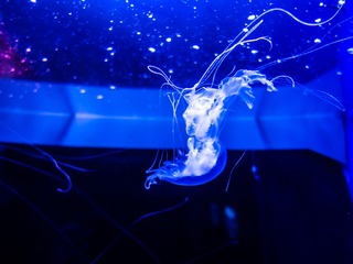 _DSC0269