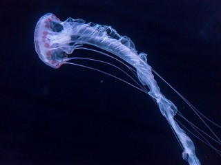 _DSC0373