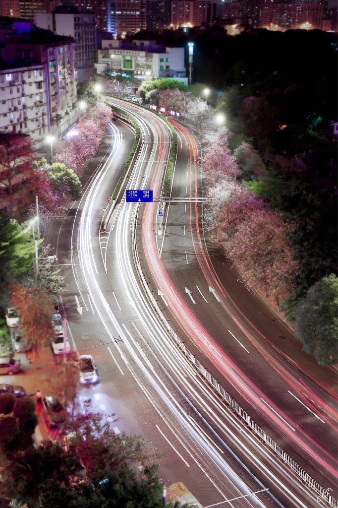 别忘了蜿蜒公路边<br />
寂寞路灯下<br />
小野花也有春天