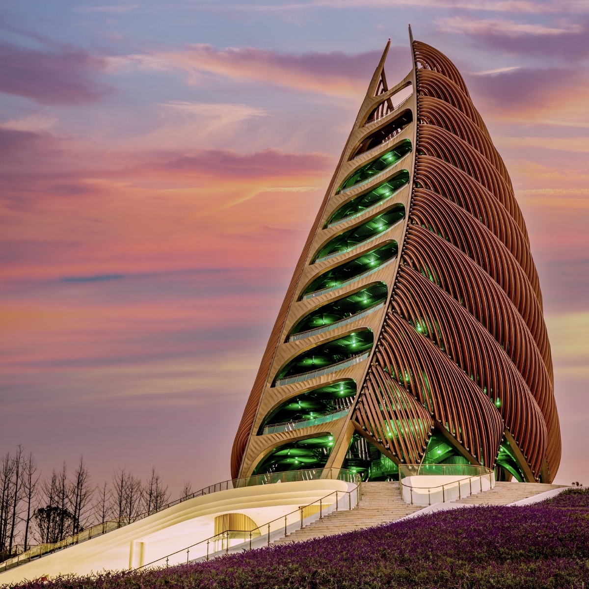 成都熊猫基地竹笋塔2