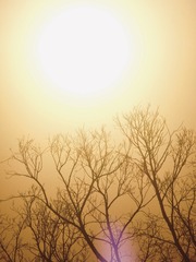 D0B812EC-C202-45E6-886B-CCD3C8484592/L0/001