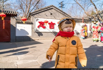 _DSC2035