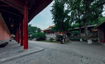 6T1A1386