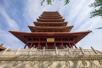 6T1A9521