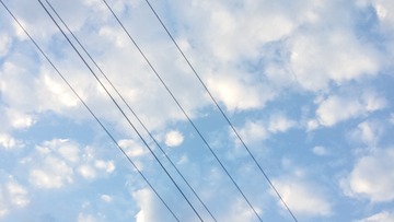 1595401