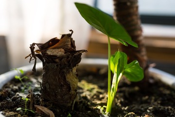 20151108_DT_0002