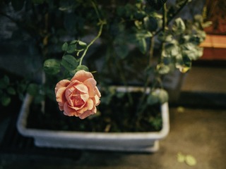P1110281