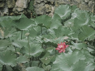 P1110342