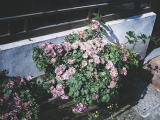 P1120515