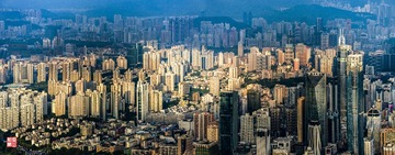 城市森林