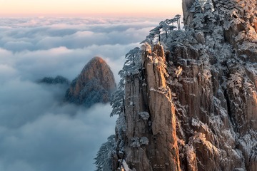 雪松眺云海