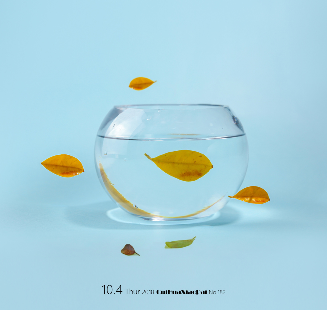 创意摄影#8南方的秋天 - 翠花小拍 - 图虫