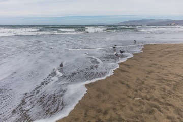 SF coast17