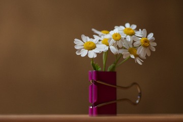 daisy16