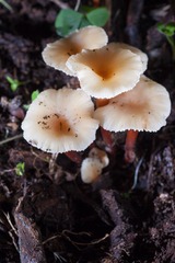 untitled-3865