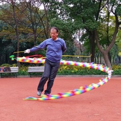 蜿龙戏水