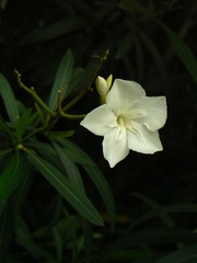 P1020320