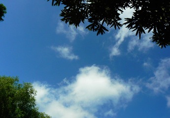 P1020292