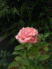 P1020449