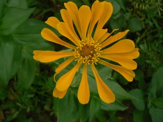 P1020457