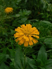 P1020473