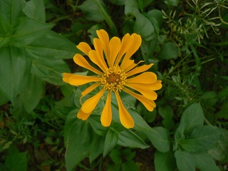P1020460