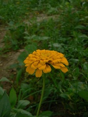P1020469