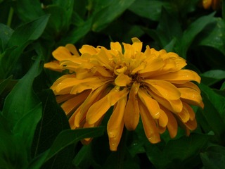 P1020516