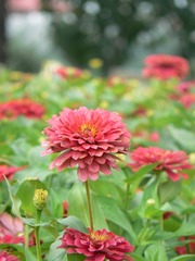 P1020522