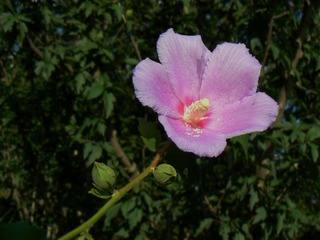P1020563