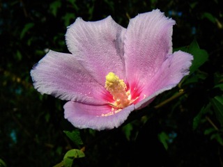P1020564