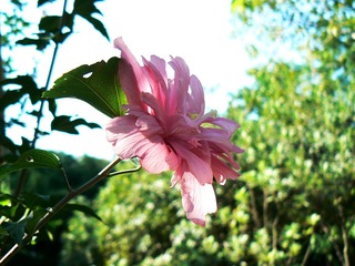 P1020568