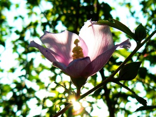 P1020571