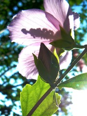 P1020579