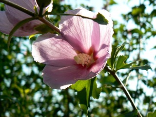 P1020583