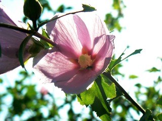 P1020585